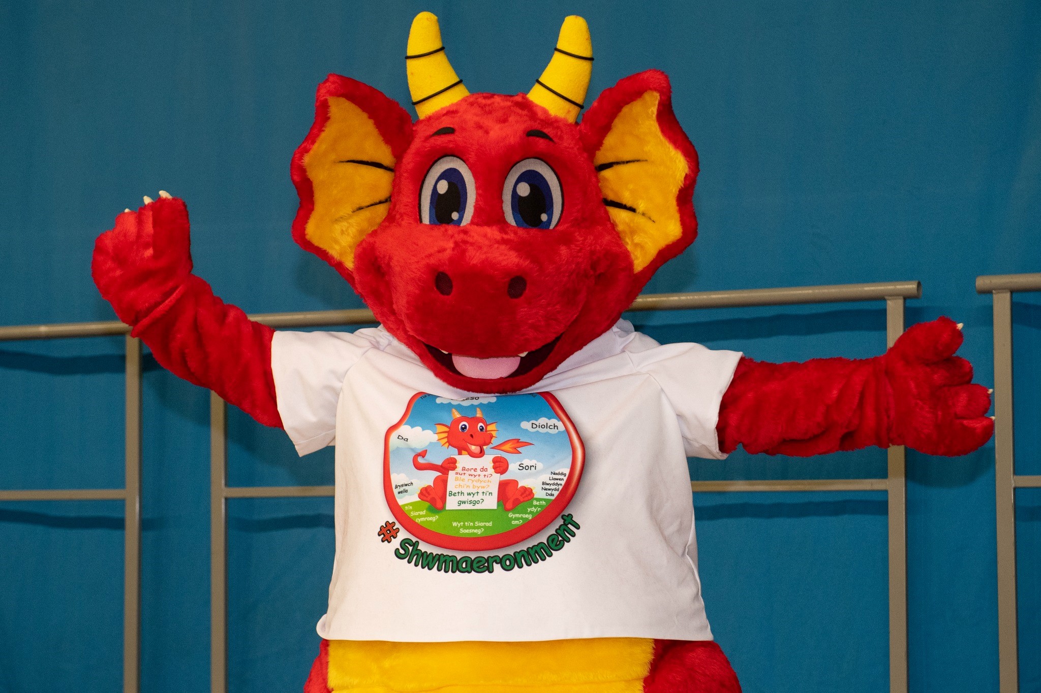 Dwynwen the Dragon mascot